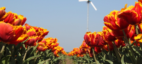 Kleine windturbines