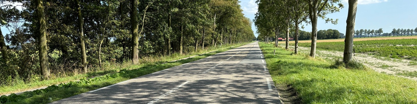 Nieuwesluizerweg