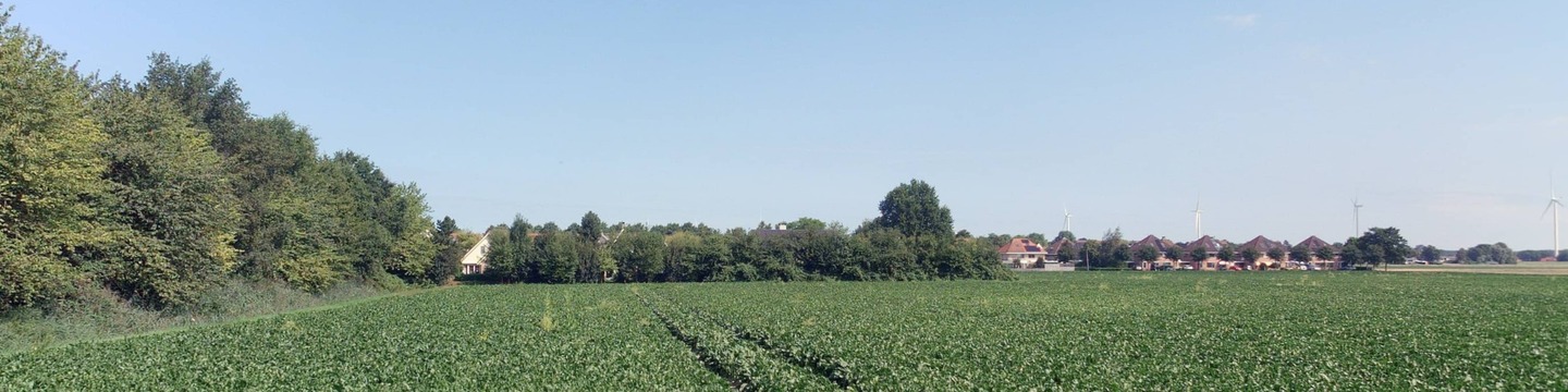 Woningbouw Dorsmolen-Oost