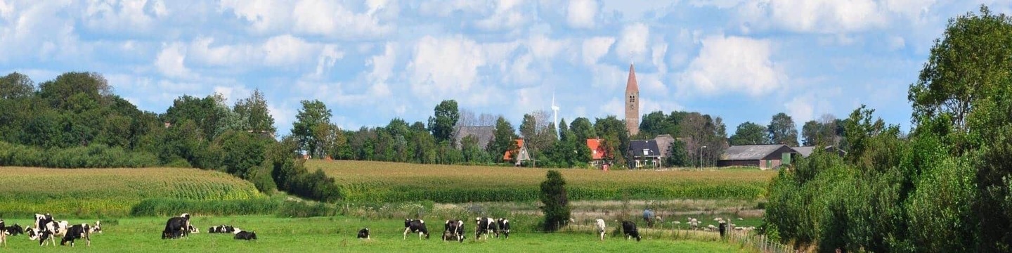 Verenigd Hollands Kroon